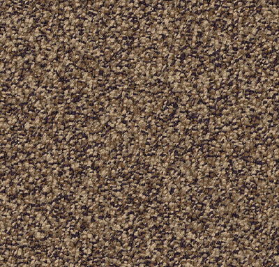 Interplay-Broadloom Carpet-Shaw Contract-02-KNB Mills