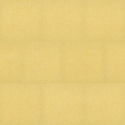 Joy-Luxury Vinyl Tile-Shaw Contract-Sun-KNB Mills