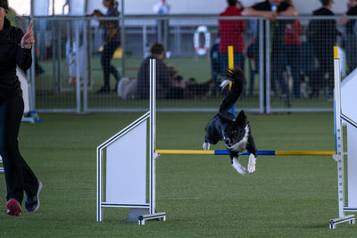 True Turf Agility 5mm