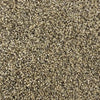 Kessler Heights-Broadloom Carpet-Gulistan Floors-003-KNB Mills