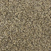 Kessler Heights-Broadloom Carpet-Gulistan Floors-003-KNB Mills