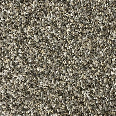 Kessler Heights-Broadloom Carpet-Gulistan Floors-005-KNB Mills