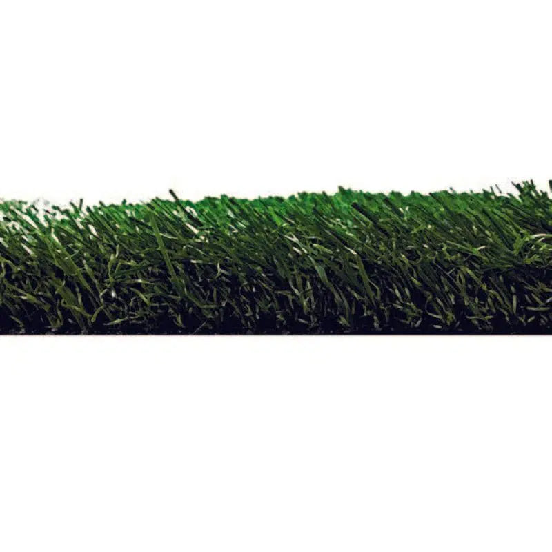 LaJolla-GrassTex-KNB Mills