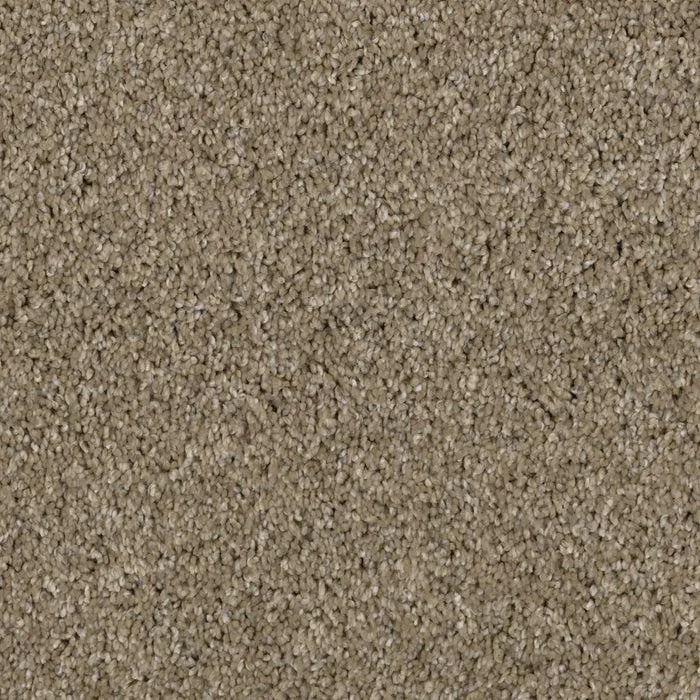 Leisure-Broadloom Carpet-Earthwerks-Leisure Classic-KNB Mills