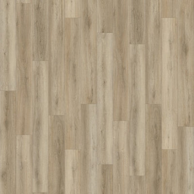 Diamond Plus Series