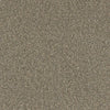 Luxury Suite-Broadloom Carpet-Earthwerks-Luxury Suite Canyonland-KNB Mills