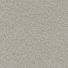 Luxury Suite-Broadloom Carpet-Earthwerks-Luxury Suite Dusty Roads-KNB Mills