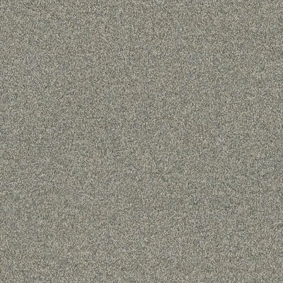 Luxury Suite-Broadloom Carpet-Earthwerks-Luxury Suite Executive Grey-KNB Mills