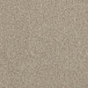 Luxury Suite-Broadloom Carpet-Earthwerks-Luxury Suite Grande Chia-KNB Mills