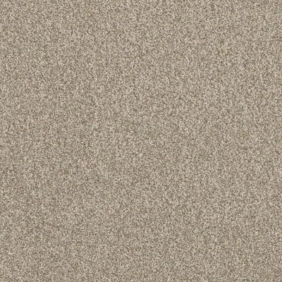 Luxury Suite-Broadloom Carpet-Earthwerks-Luxury Suite Grande Chia-KNB Mills