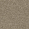 Luxury Suite-Broadloom Carpet-Earthwerks-Luxury Suite Timberwolf-KNB Mills