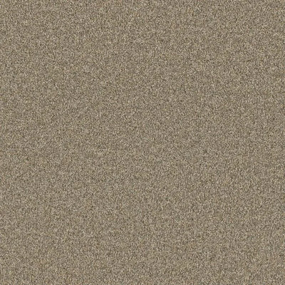 Luxury Suite-Broadloom Carpet-Earthwerks-Luxury Suite Timberwolf-KNB Mills