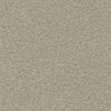 Luxury Suite-Broadloom Carpet-Earthwerks-Luxury Suite Brushed Cotton-KNB Mills