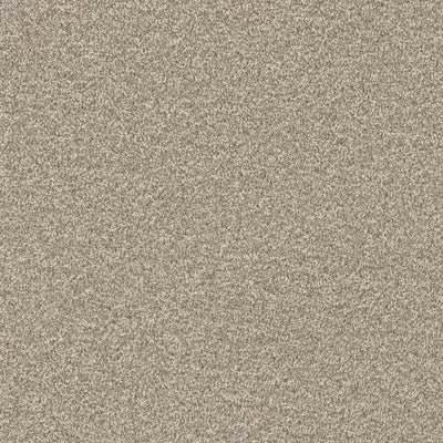 Luxury Suite-Broadloom Carpet-Earthwerks-Luxury Suite Brushed Cotton-KNB Mills