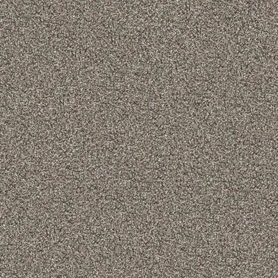 Malibu-Broadloom Carpet-Marquis Industries-BB006 Cabin Fever-KNB Mills