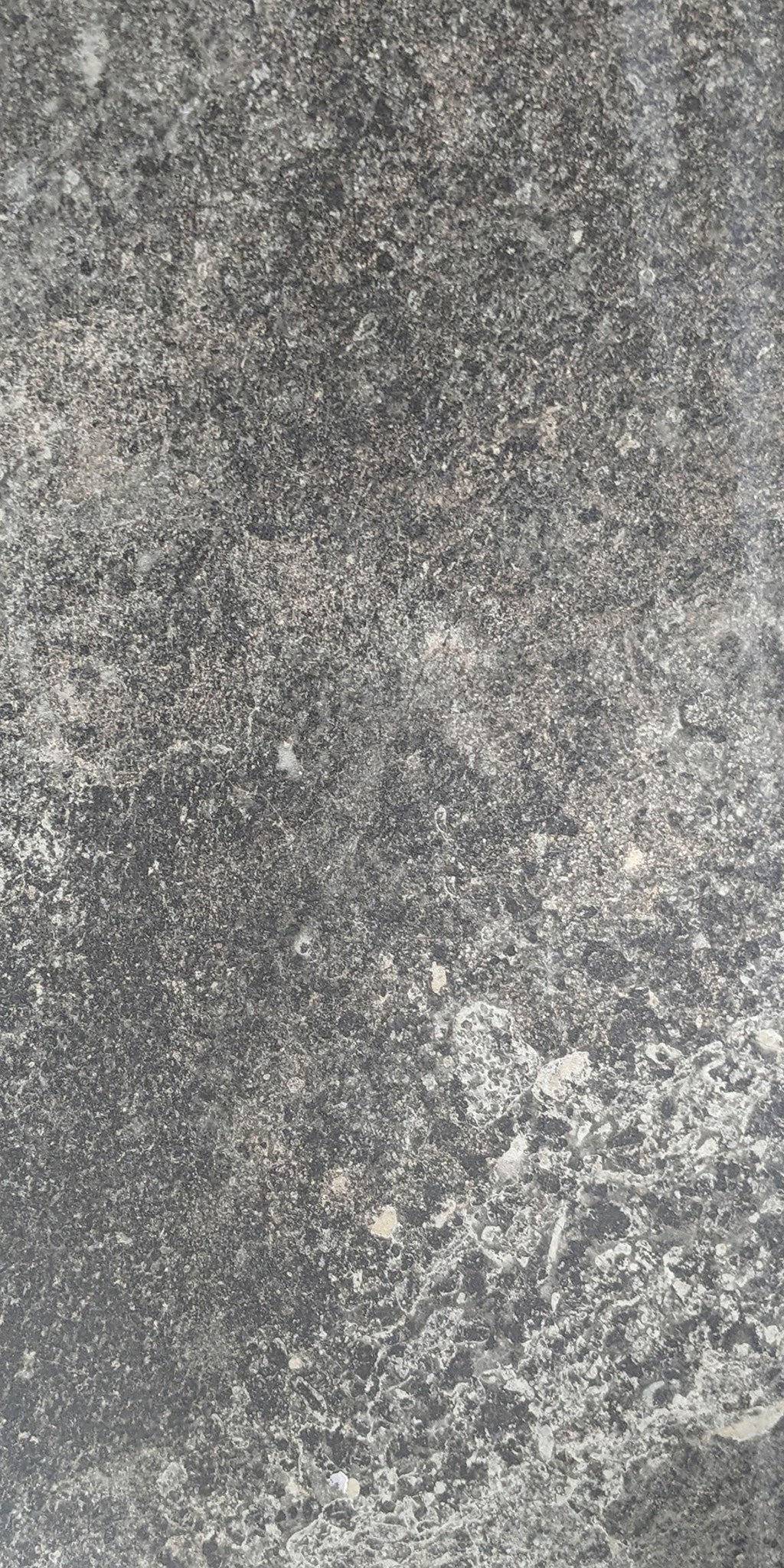 Meritage-Porcelain-Paramount Flooring-Black Matte-KNB Mills