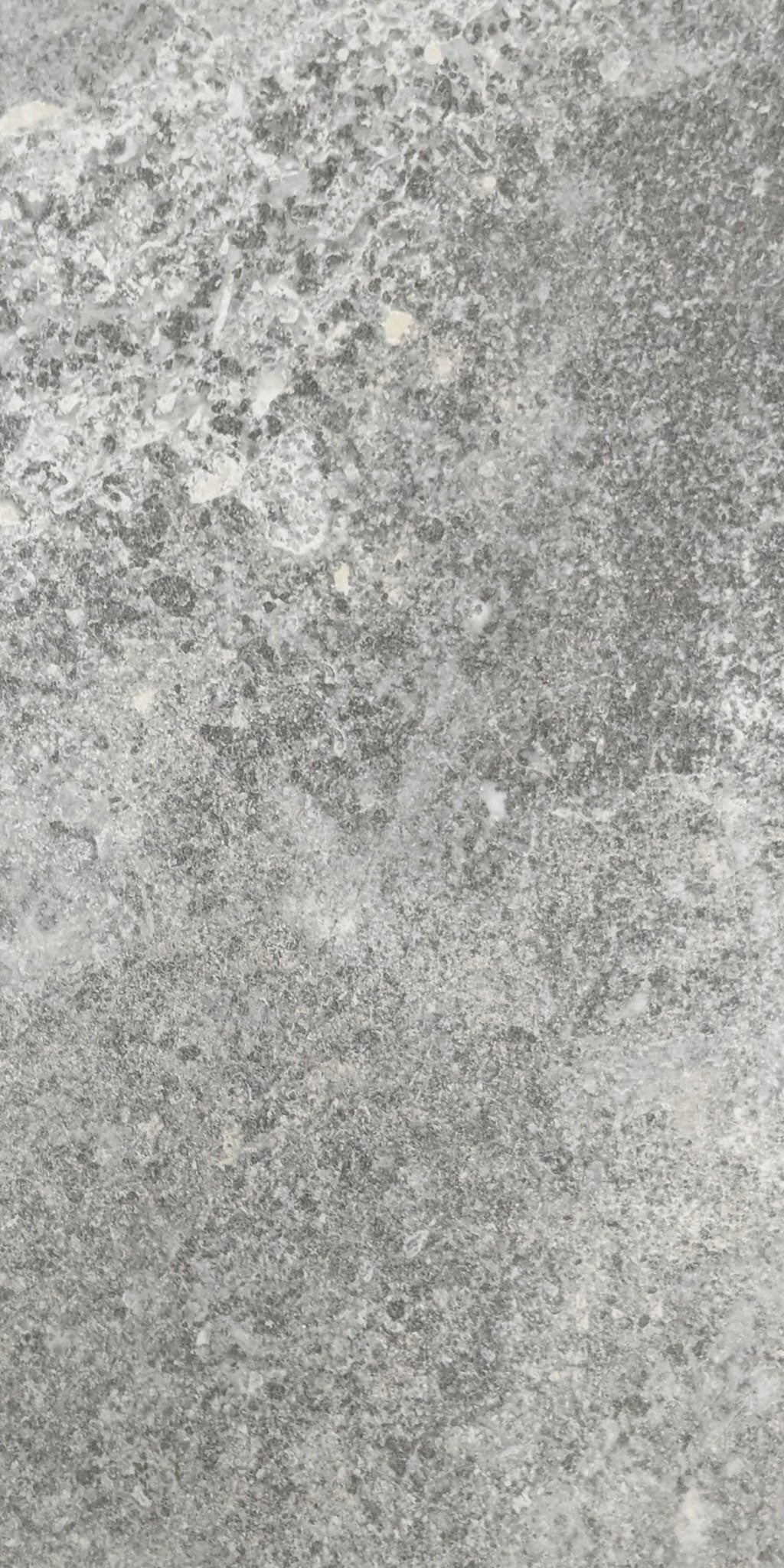 Meritage-Porcelain-Paramount Flooring-Grey Polished-KNB Mills