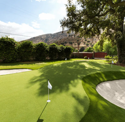 Money Putt-Synthetic Grass Turf-GrassTex-KNB Mills