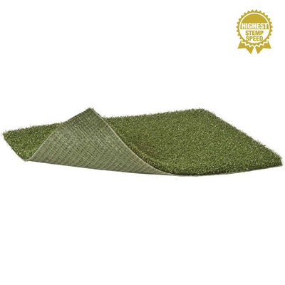 Money Putt-Synthetic Grass Turf-GrassTex-KNB Mills