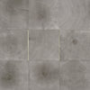 Natural Choreography-Luxury Vinyl Tile-Shaw Contract-Cut- Mushroom-KNB Mills