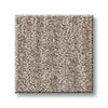 Nature Within-Shaw Floors-KNB Mills