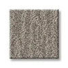 Nature Within-Shaw Floors-KNB Mills