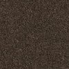 Shazam-Broadloom Carpet-Earthwerks-Shazam Espresso-KNB Mills