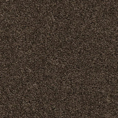 Shazam-Broadloom Carpet-Earthwerks-Shazam Espresso-KNB Mills