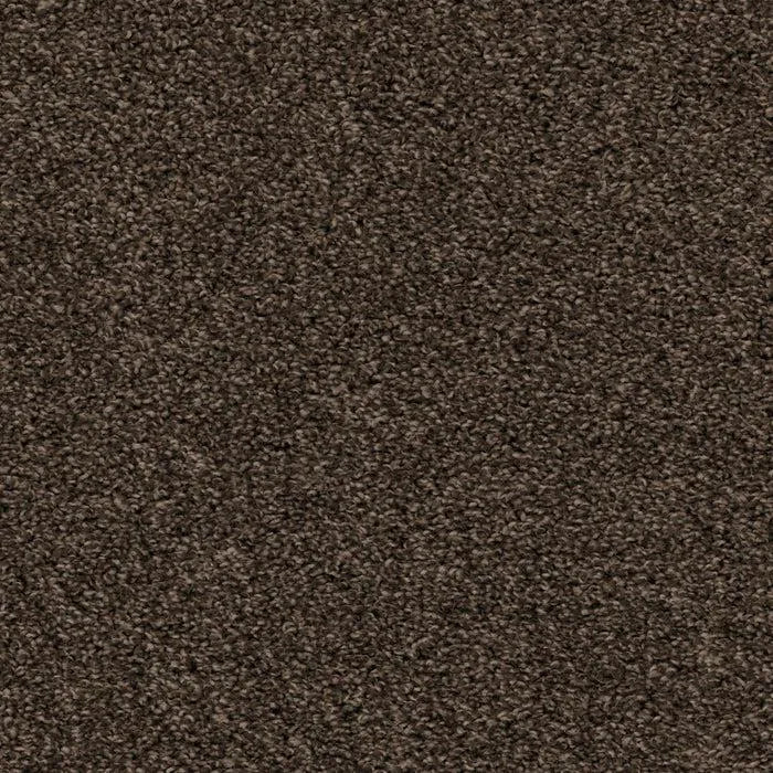 Shazam-Broadloom Carpet-Earthwerks-Shazam Anchor-KNB Mills