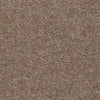 Shazam-Broadloom Carpet-Earthwerks-Shazam Lattice-KNB Mills