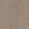 Shazam-Broadloom Carpet-Earthwerks-Shazam Linen-KNB Mills