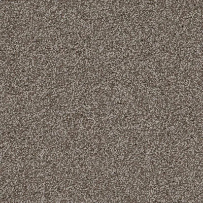 Shazam-Broadloom Carpet-Earthwerks-Shazam Mink-KNB Mills