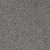 Shazam-Broadloom Carpet-Earthwerks-Shazam Steel-KNB Mills