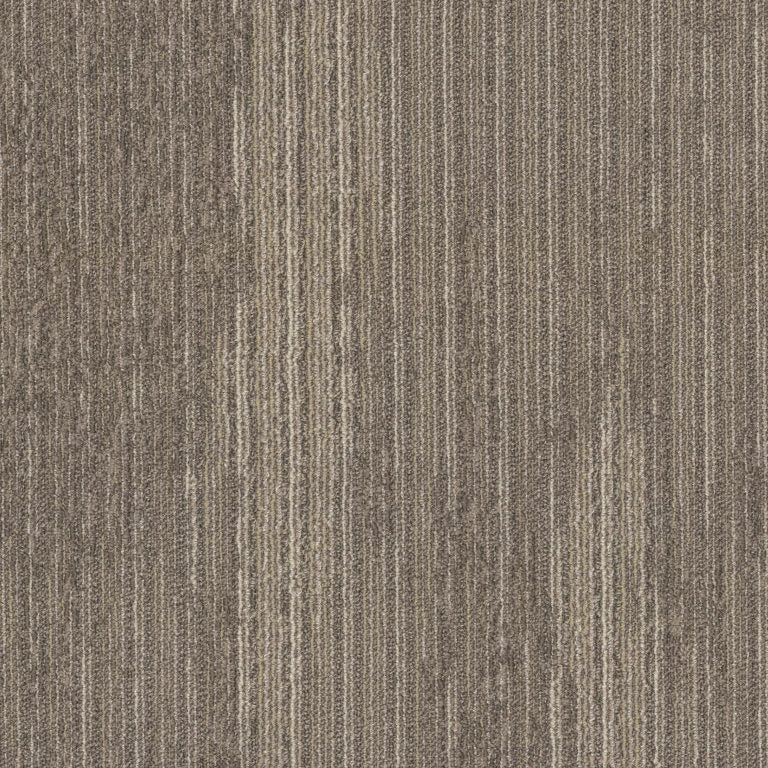 Motion