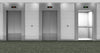 Signature 10-Custom Carpet-KNB Mills-KNB Mills