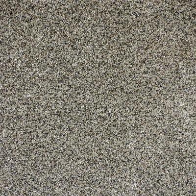 Soft Luxury II-Broadloom Carpet-Marquis Industries-BB022 Magnetic Gray-KNB Mills