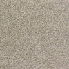 Soft Luxury II-Broadloom Carpet-Marquis Industries-BB032 Dove Feather-KNB Mills