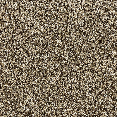 Start Living-Broadloom Carpet-Gulistan Floors-005-KNB Mills