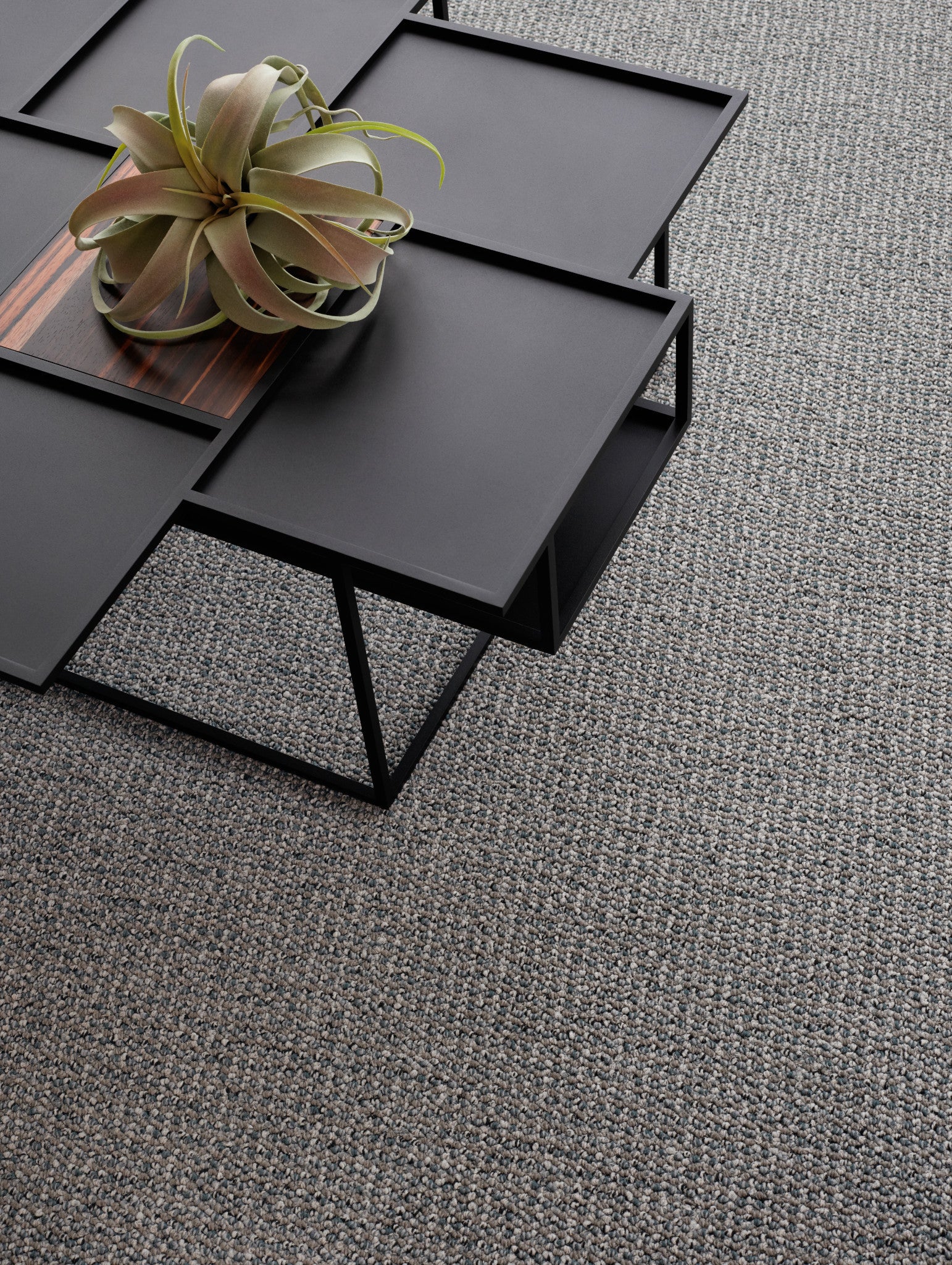 Stay-Broadloom Carpet-Shaw Contract-Warmth-KNB Mills