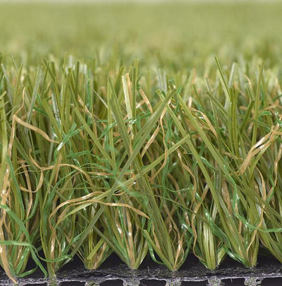 Summer Rye-Synthetic Grass Turf-Shawgrass-KNB Mills