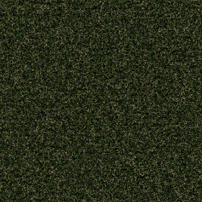 Summer Rye-Synthetic Grass Turf-Shawgrass-KNB Mills