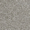 Sweet Emotion-Broadloom Carpet-Marquis Industries-BB010 Dove Feather-KNB Mills