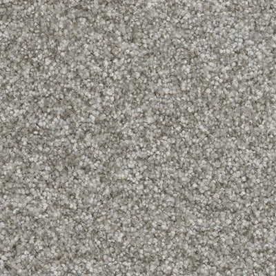 Sweet Emotion-Broadloom Carpet-Marquis Industries-BB010 Dove Feather-KNB Mills