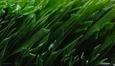 Tennis Turf