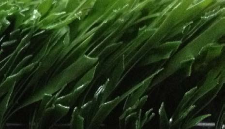 Tennis Turf