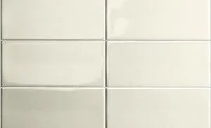 Terra Gloss-Ceramic Tile-FlorStar-4" x 12"-FS- Lumin-KNB Mills
