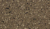 Thrive-Sport Floor-Centaur Floors-Mocha Latte / Deadlift-KNB Mills