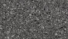 Thrive-Sport Floor-Centaur Floors-Steel Appeal / Barbell-KNB Mills