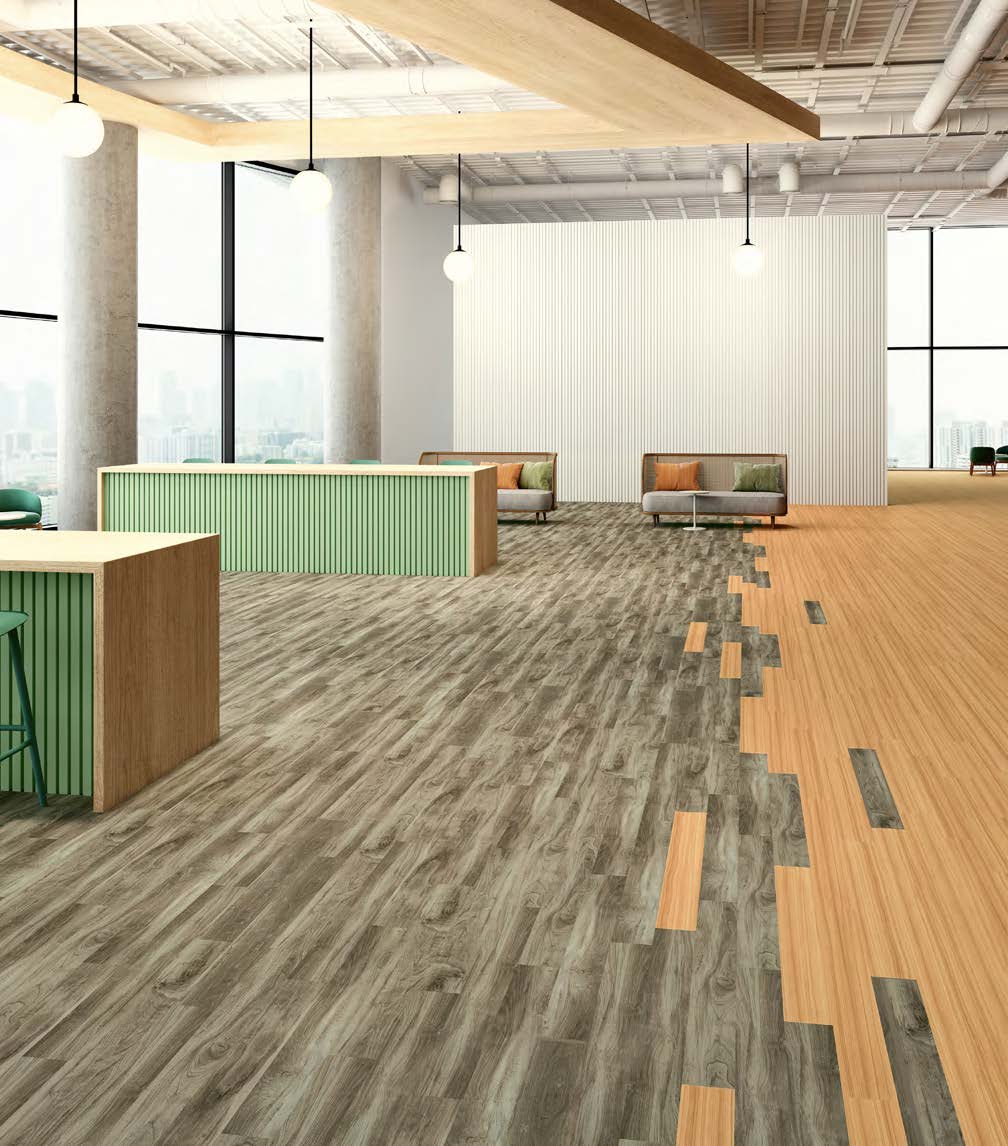 Timber Grove II - KNB Mills