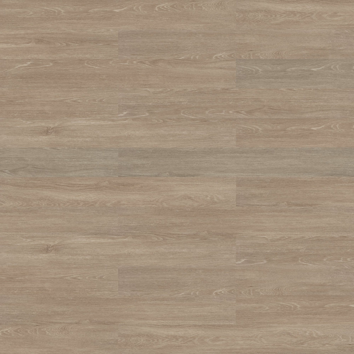 Timber Grove II - KNB Mills